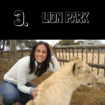lionpark