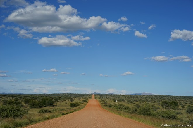 DSC00131