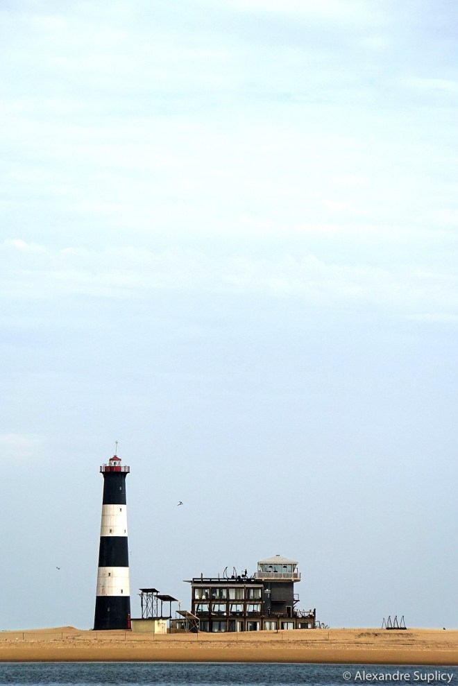 DSC00501t