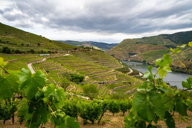 Dia6_Quinta_do_Seixo-22