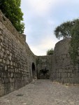 IMG_5525