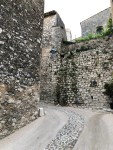 IMG_5543