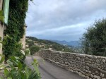 IMG_5546