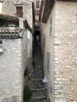 IMG_5565